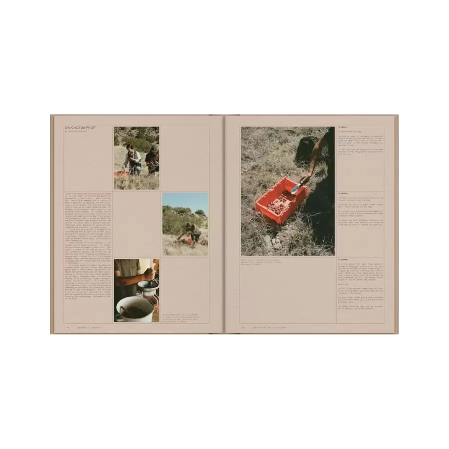 New Mags - Desert by Design