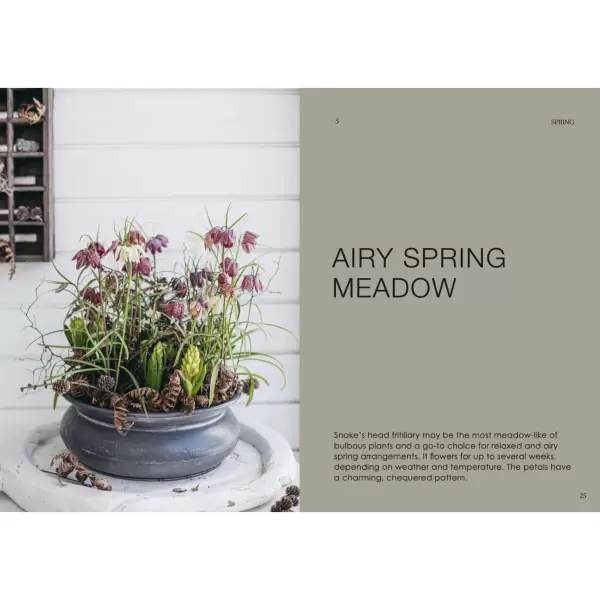 New Mags - The Potted Garden