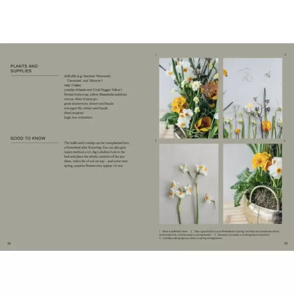New Mags - The Potted Garden