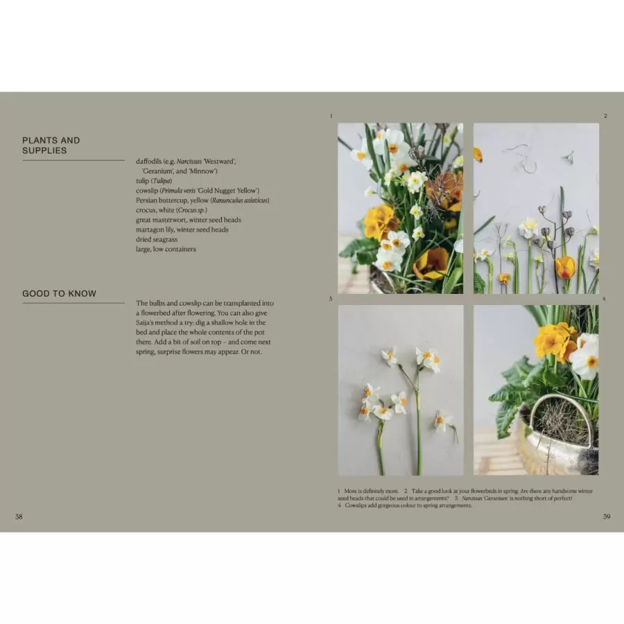 New Mags - The Potted Garden