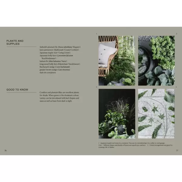 New Mags - The Potted Garden