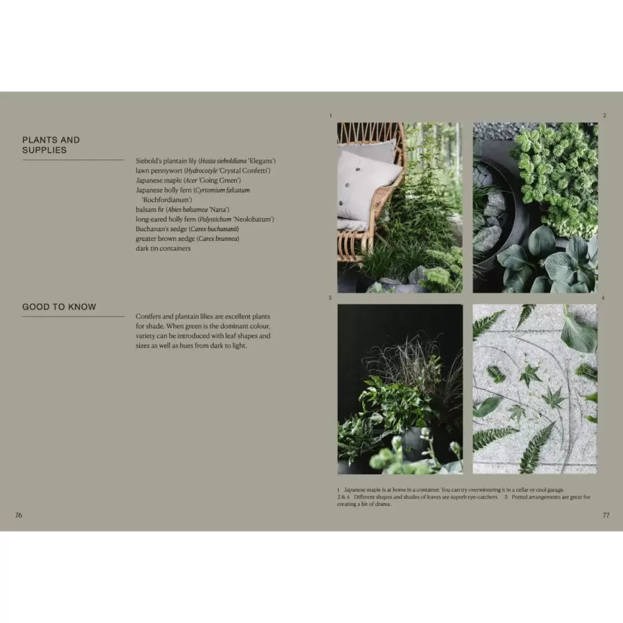 New Mags - The Potted Garden