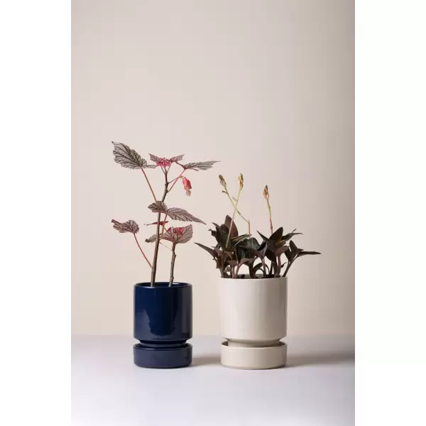 Bergs Potter - Hoff GLASERET Sandstone, Ø16 cm, sæt