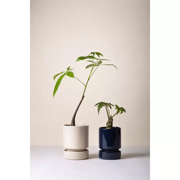 Bergs Potter - Hoff GLASERET Sandstone, Ø16 cm, sæt