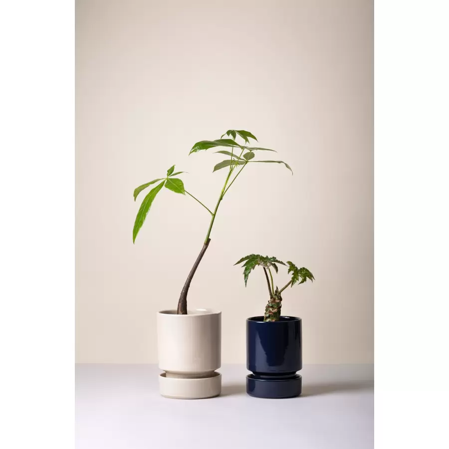 Bergs Potter - Hoff GLASERET Sandstone, Ø16 cm, sæt