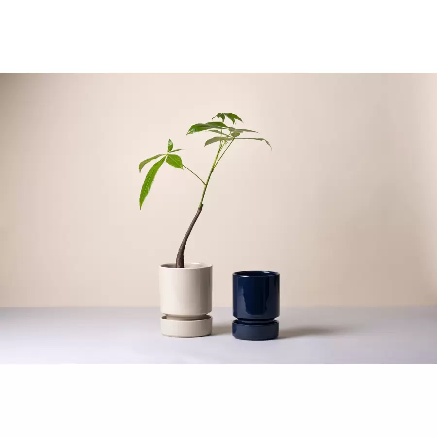 Bergs Potter - Sæt, Hoff , Ø12 cm. GLASERET Sandstone