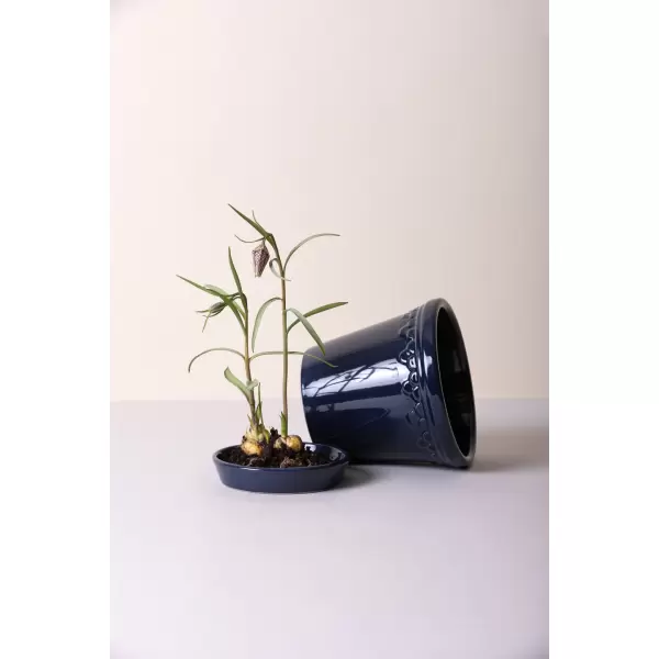 Bergs Potter - Sæt, Københavner GLASERET Sapphire Blue, Ø 14 cm.