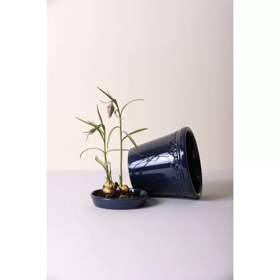 Bergs Potter - Sæt, Københavner GLASERET Sapphire Blue, Ø 14 cm.