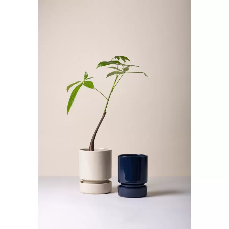Bergs Potter - Sæt, Hoff , Ø12 cm. GLASERET Sapphire Blue