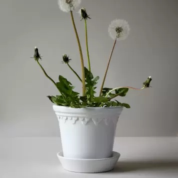 Bergs Potter - Ø:12 Københavnerpotten, Mineral White