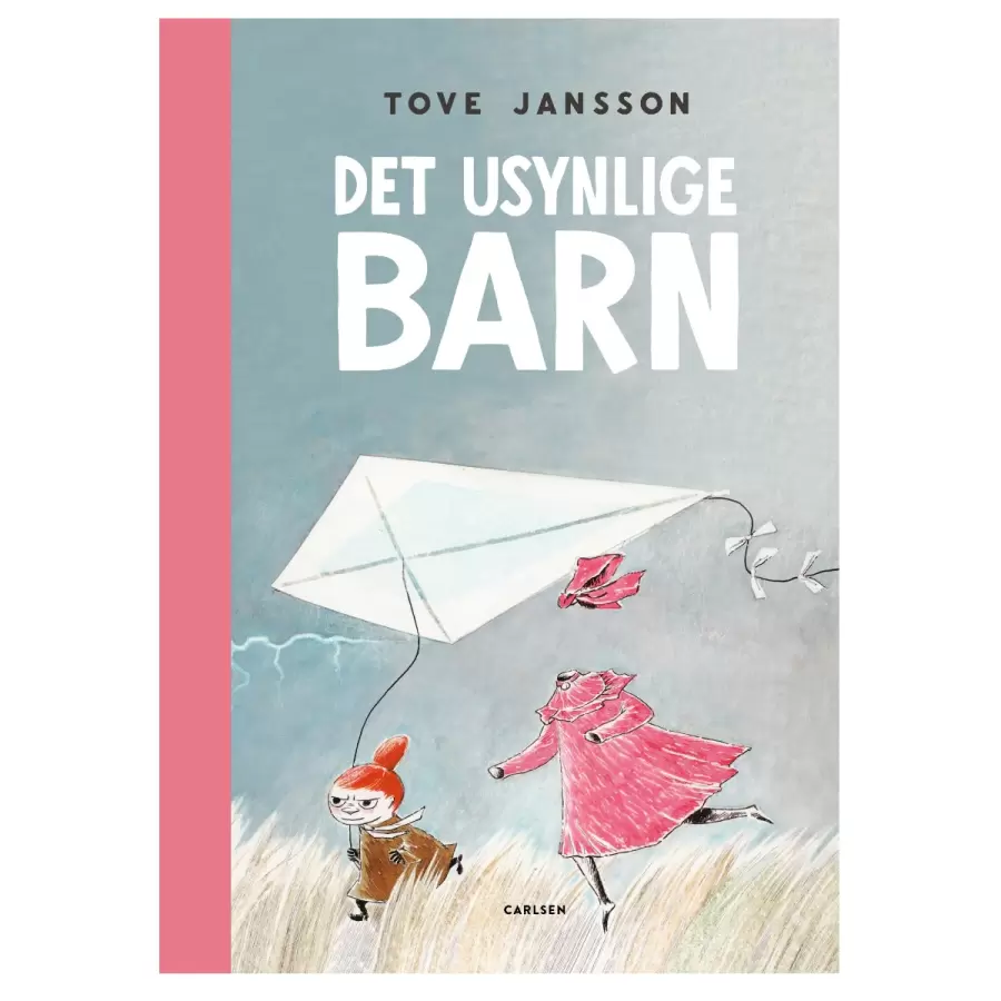 Det usynlige barn