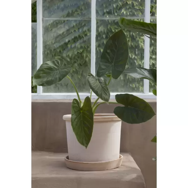 Bergs Potter - Galestro sæt Rå Rosa, Ø 25 cm