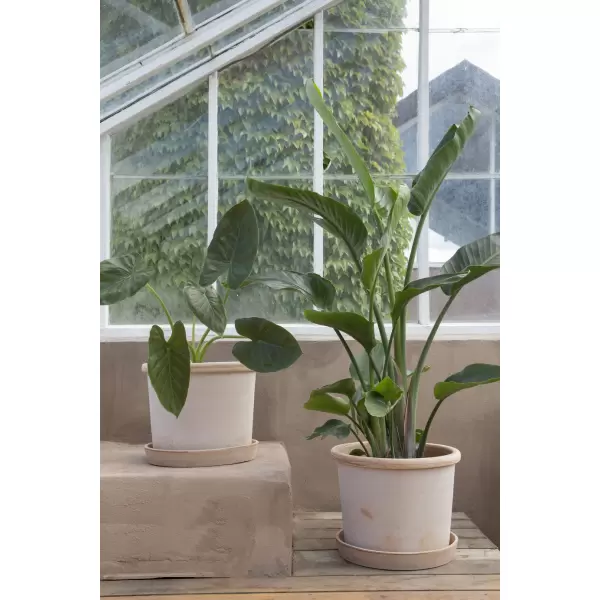 Bergs Potter - Galestro sæt Rå Rosa, Ø 25 cm