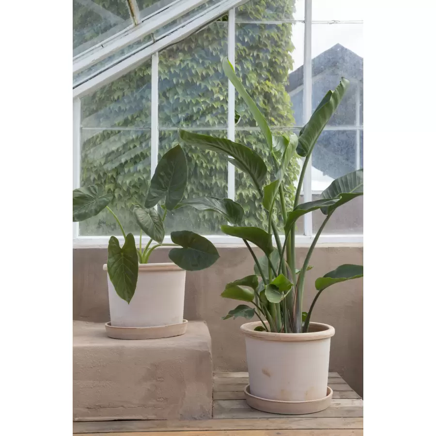 Bergs Potter - Galestro sæt Rå Rosa, Ø 25 cm