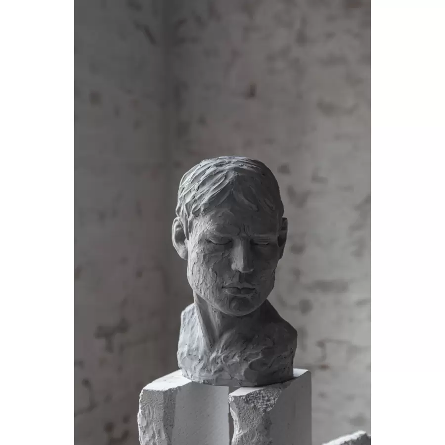 Mette Ditmer - Buste, his reflective mind