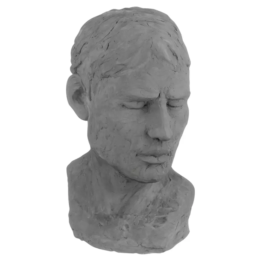 Mette Ditmer - Buste, his reflective mind