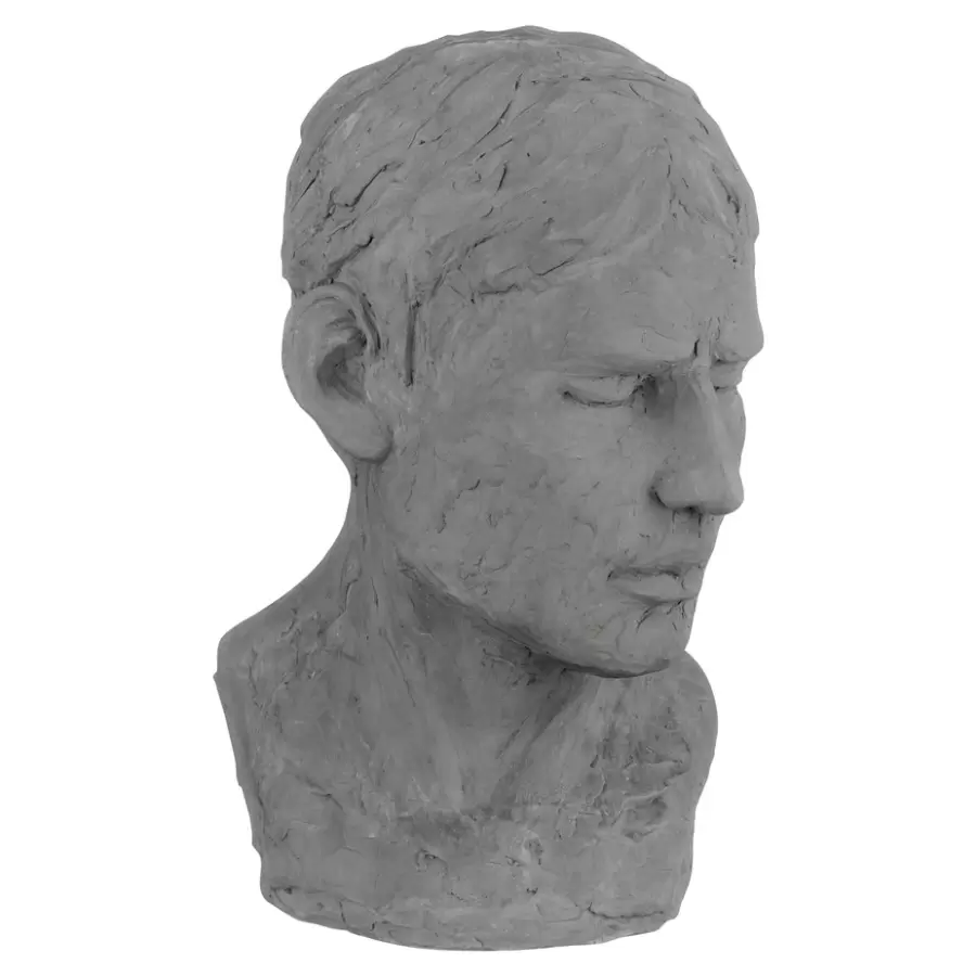 Mette Ditmer - Buste, his reflective mind