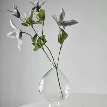 TELL ME MORE - Vase Como, M TELL ME MORE - Vase Como, M