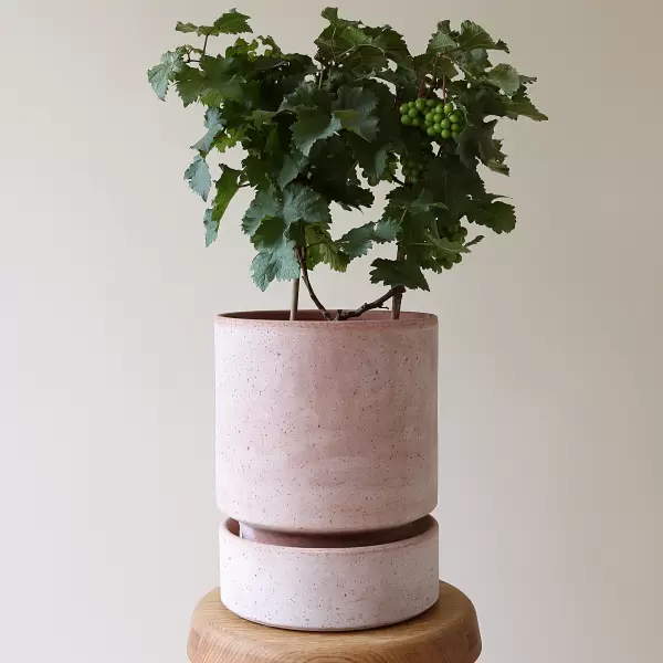 Bergs Potter - Sæt Hoff potte 14  rå rosa, underskål og potte