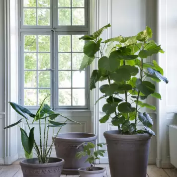 Bergs Potter - Ø:35 Sæt Københavner Uglaseret Grå - Hent selv