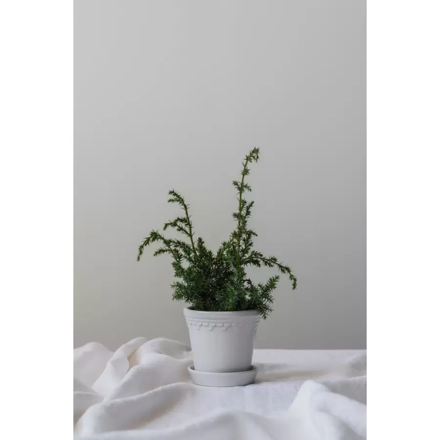 Bergs Potter - Ø:21 Sæt Københavner Glaseret, Mineral White - hent selv