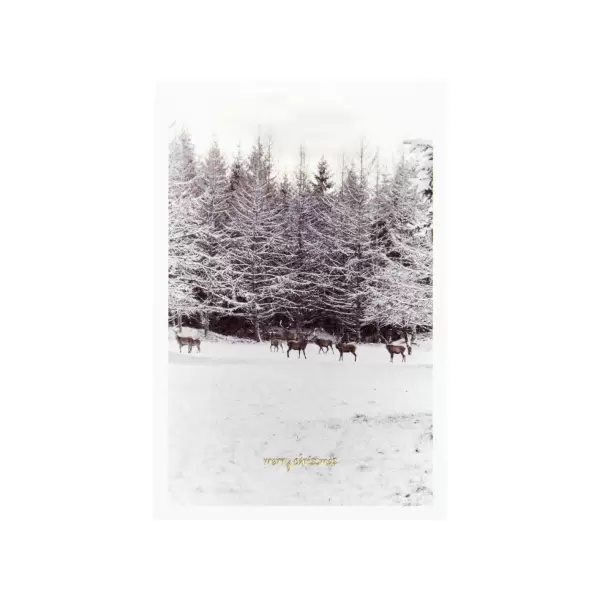 House Doctor - 6 Julekort med konvolutter, Winter