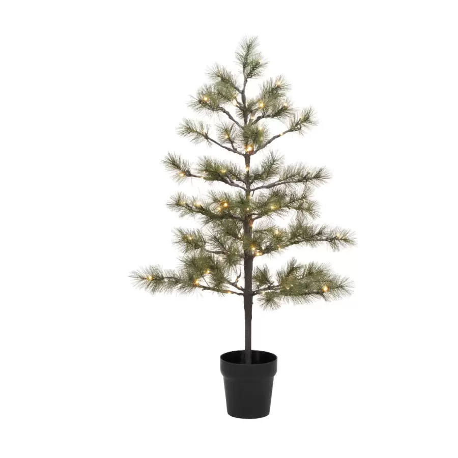 House Doctor - Juletræ Peuce LED, Silkefyr H:125  