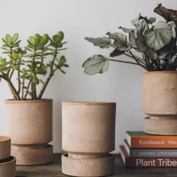 Bergs Potter - Ø:8 The Hoff Pot, Rosa Sæt inkl. underskål
