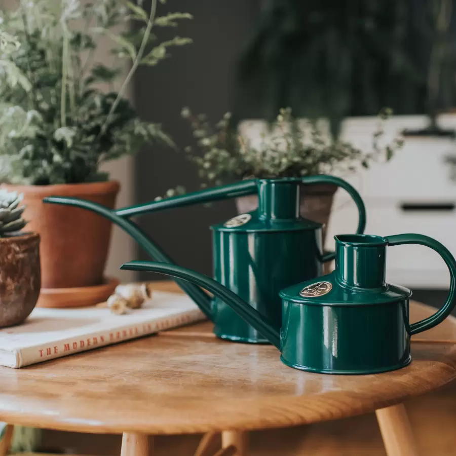 HAWS - Vandkande The Fazely Flow, Grøn