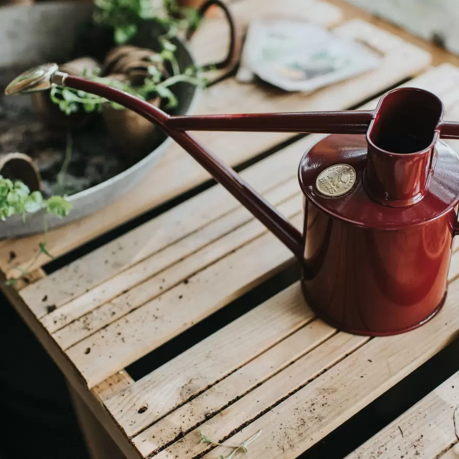 HAWS - The Rowley Ripple, burgundy