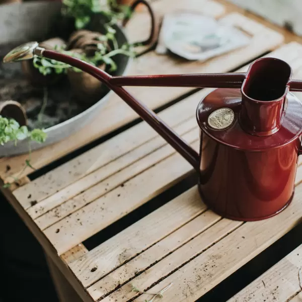 HAWS - Vandkande The Rowley Ripple, Burgundy