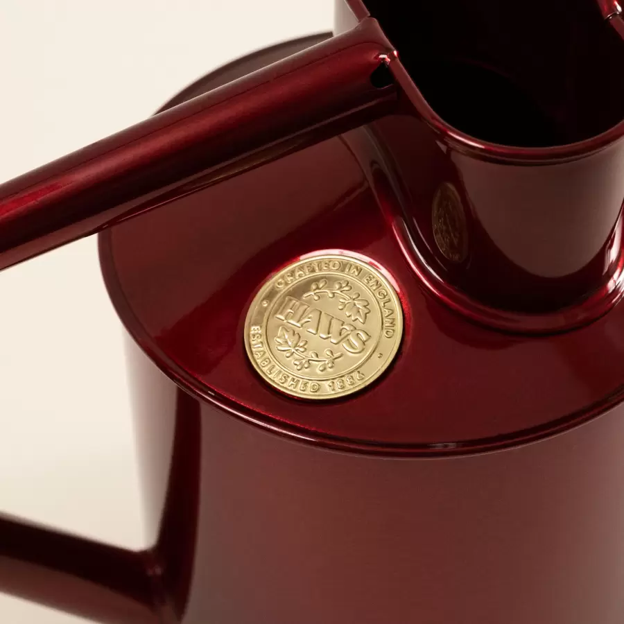 HAWS - Vandkande The Rowley Ripple, Burgundy