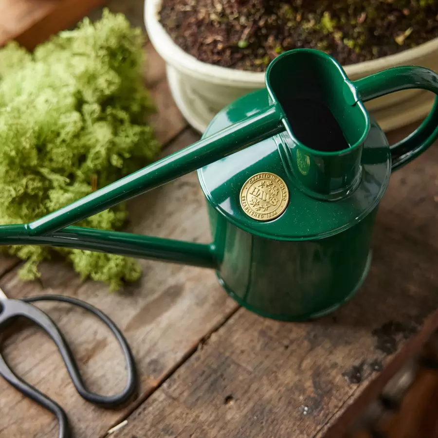 HAWS - Vandkande The Rowley Ripple, Grøn