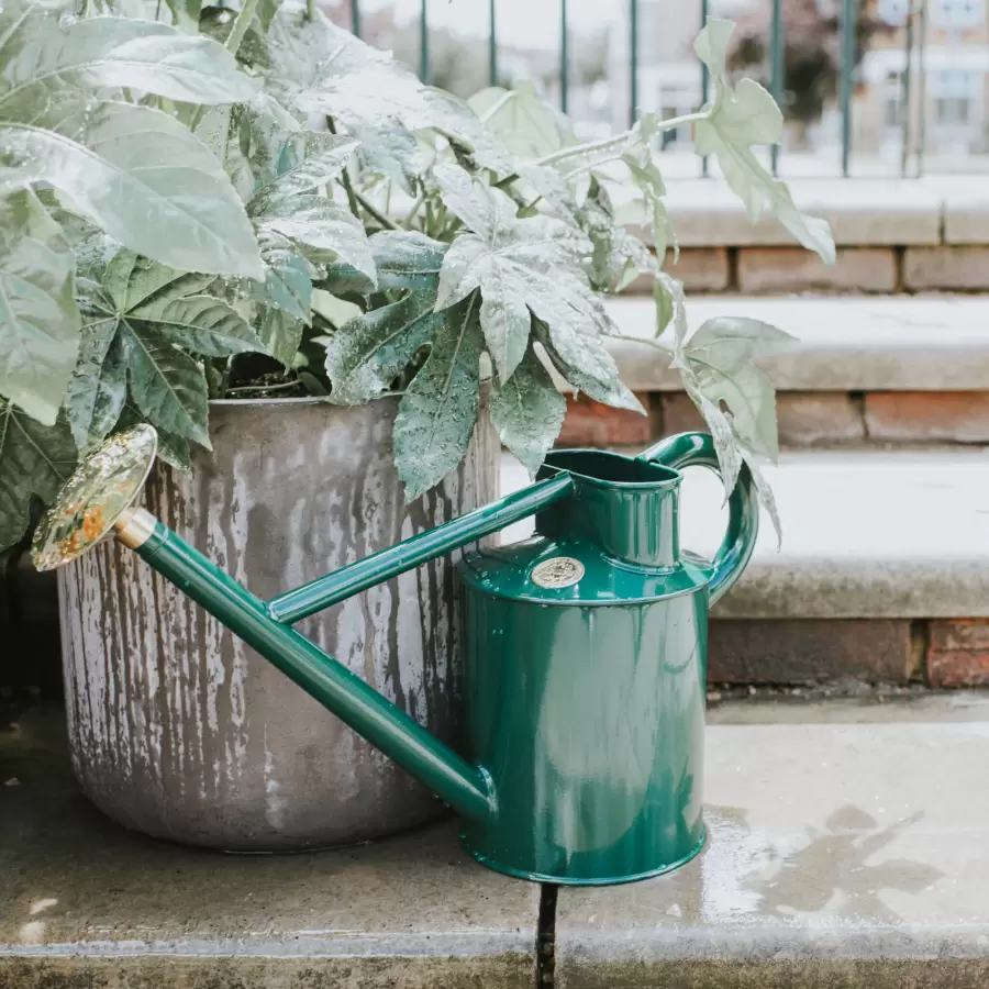 HAWS - The Bearwood Brook, Grøn
