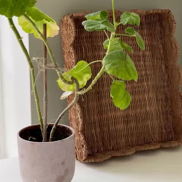 Jou Quilts - Jou Bakke, Rattan 30*35