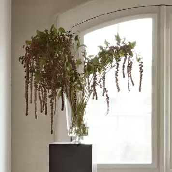 TineK Home - Glasvase Klar L. Ø:20*36 - Hent selv