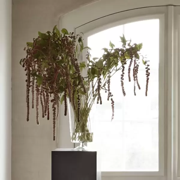 TineK Home - Glasvase Klar L. Ø:20*36 TineK Home - Glasvase Klar L. Ø:20*36