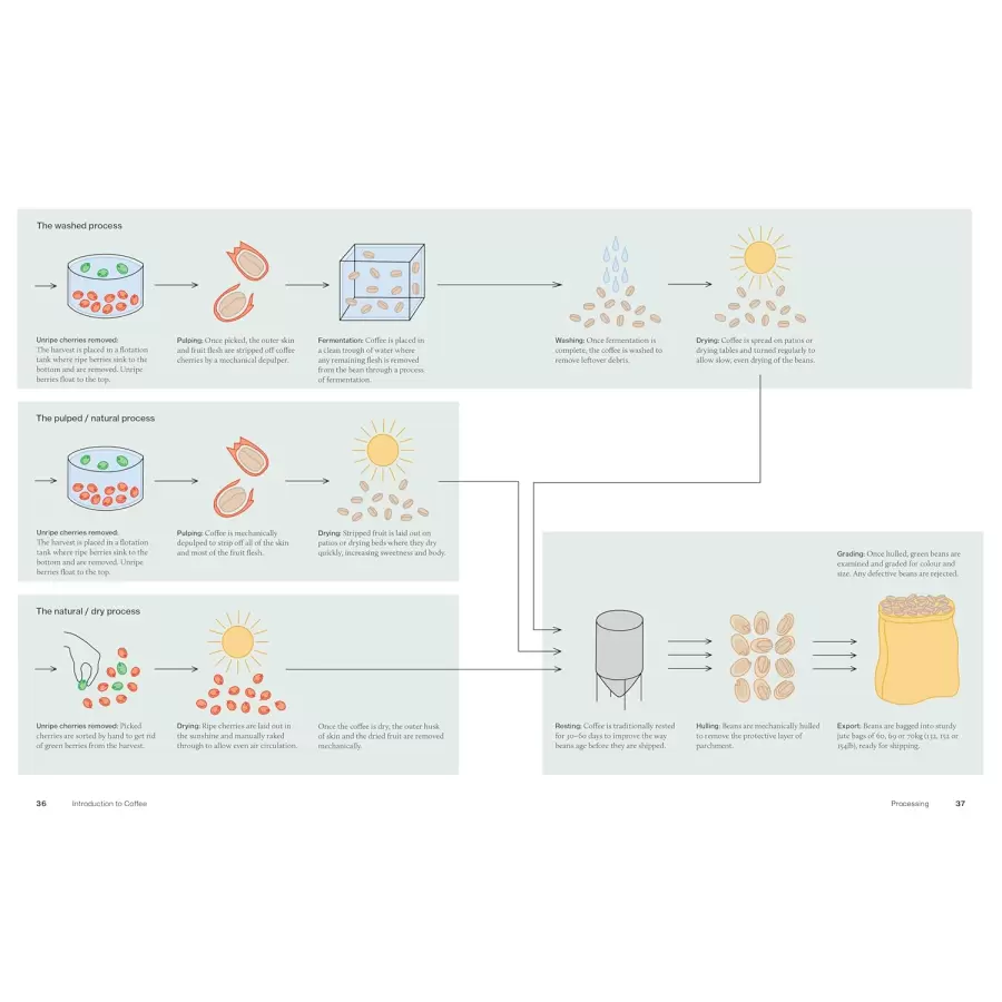 New Mags - The World Atlas of Coffee 3rd edition