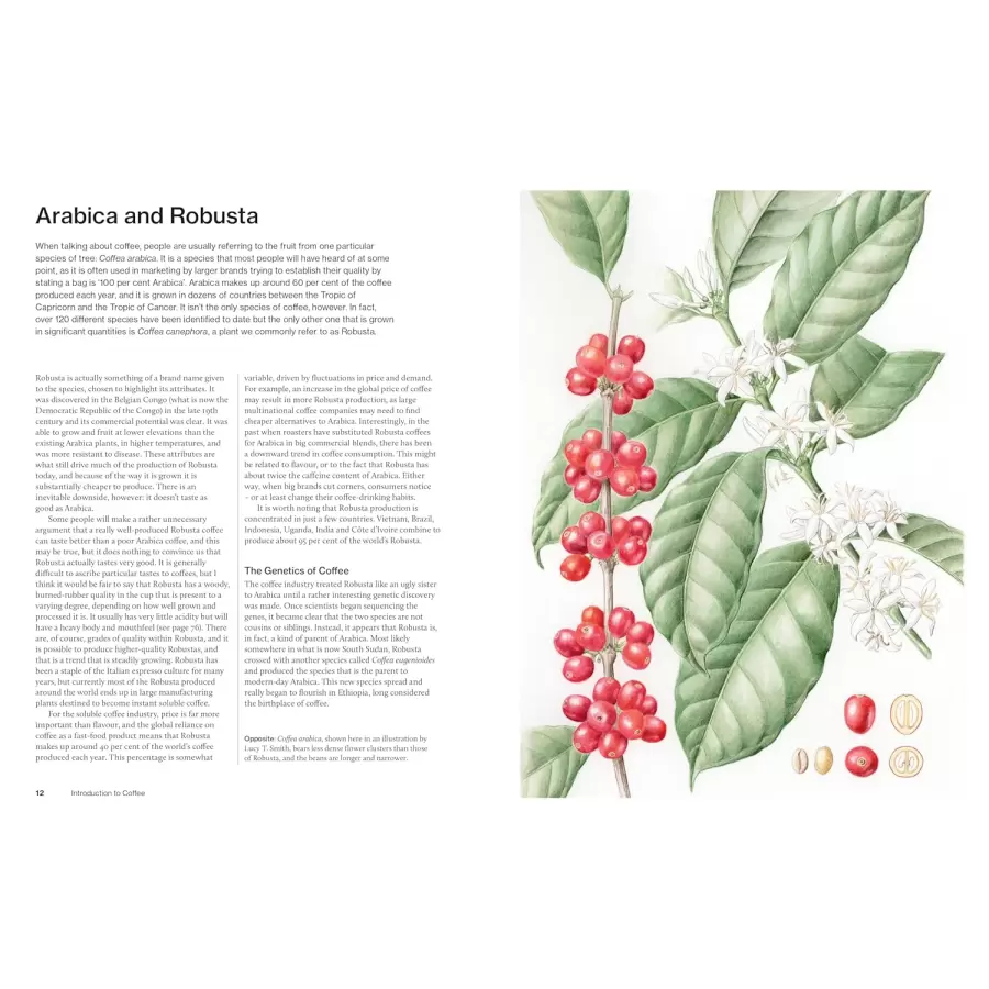 New Mags - The World Atlas of Coffee 3rd edition