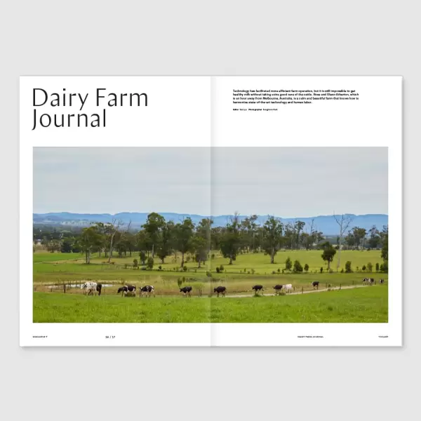 New Mags - Magazine F Issue 24 YOGURT