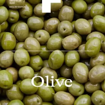 New Mags -  Magazine F Issue 22 OLIVE