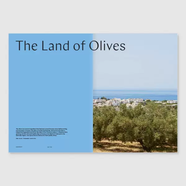 New Mags - Magazine F Issue 22 OLIVE New Mags - Magazine F Issue 22 OLIVE