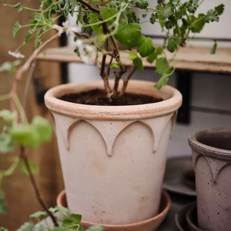 Bergs Potter -  Elizabeth RAW Rosa, Ø:21 - Hent selv