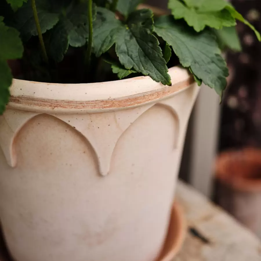 Bergs Potter -  Elizabeth RAW Rosa, Ø:21 - Hent selv