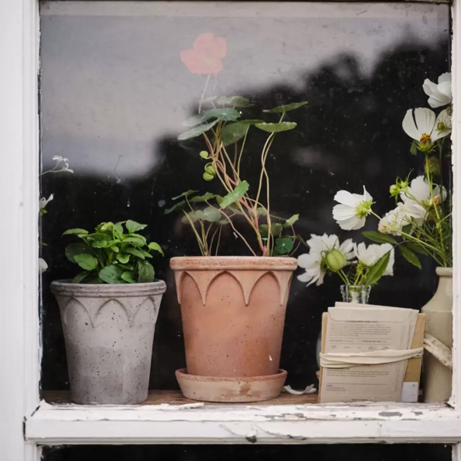 Bergs Potter -  Elizabeth RAW Rosa, Ø:21 - Hent selv