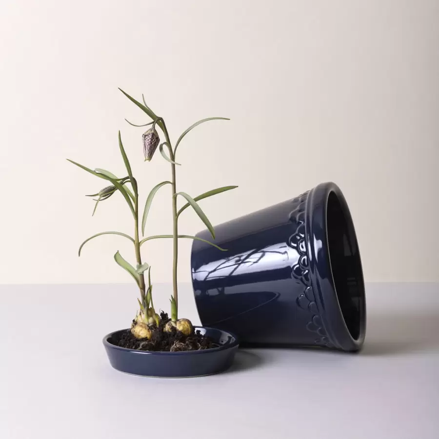 Bergs Potter - Sætpris Københavner GLAZED Sapphire Blue, Ø 12 cm