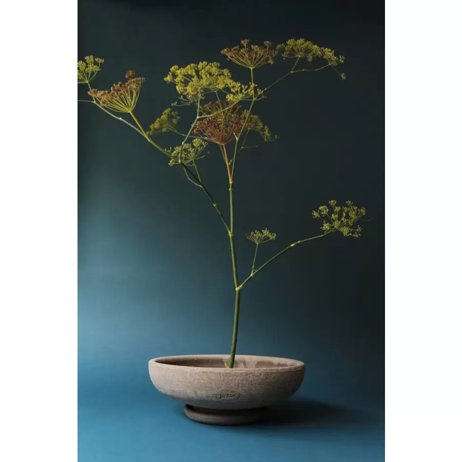 Bergs Potter - Ada RAW Grå, Ø 30 cm