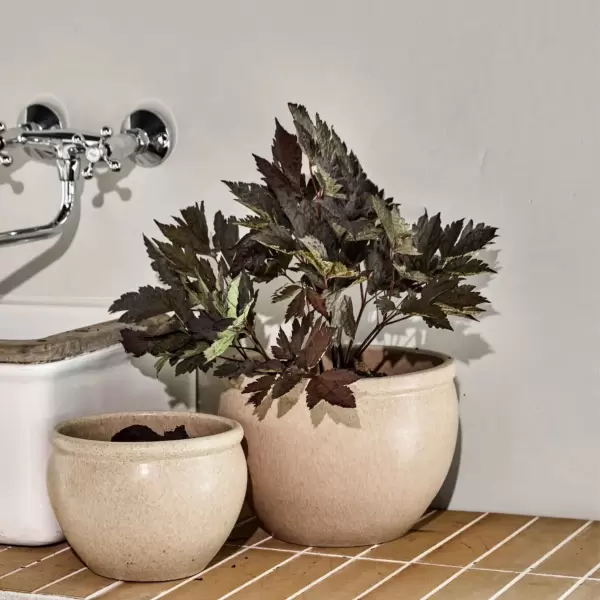 House Doctor - 2 Urtepotter i sæt Vale, Beige - Hent selv