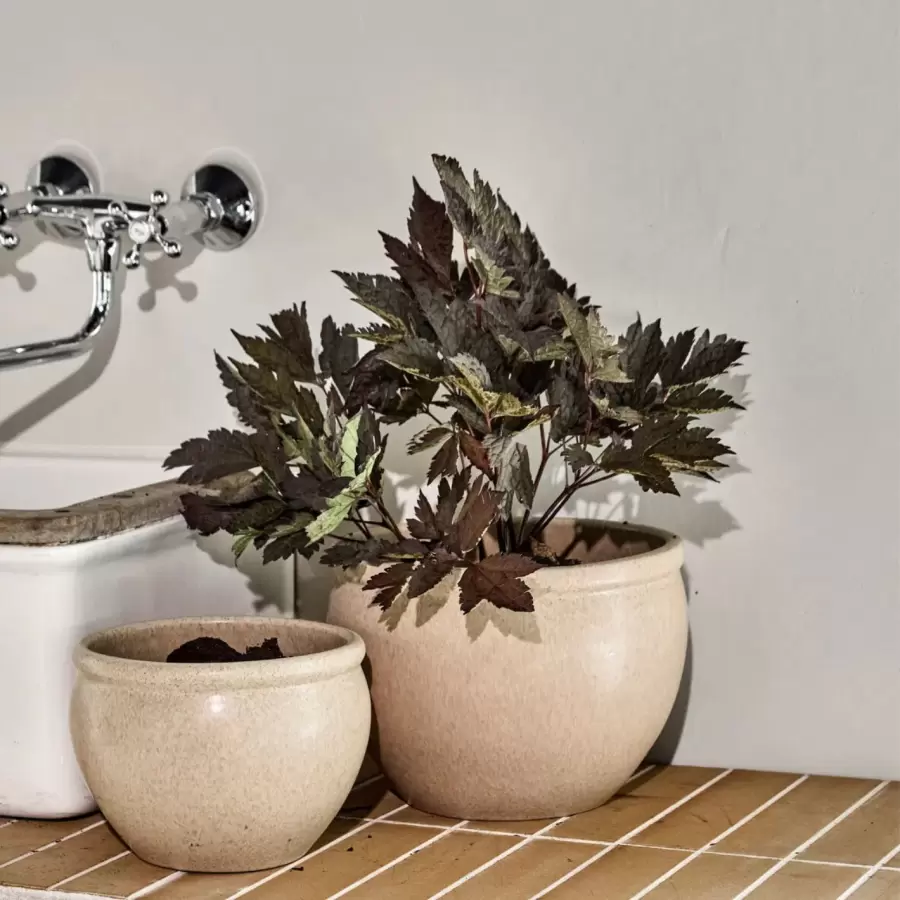 House Doctor - 2 Urtepotter i sæt Vale, Beige - Hent selv