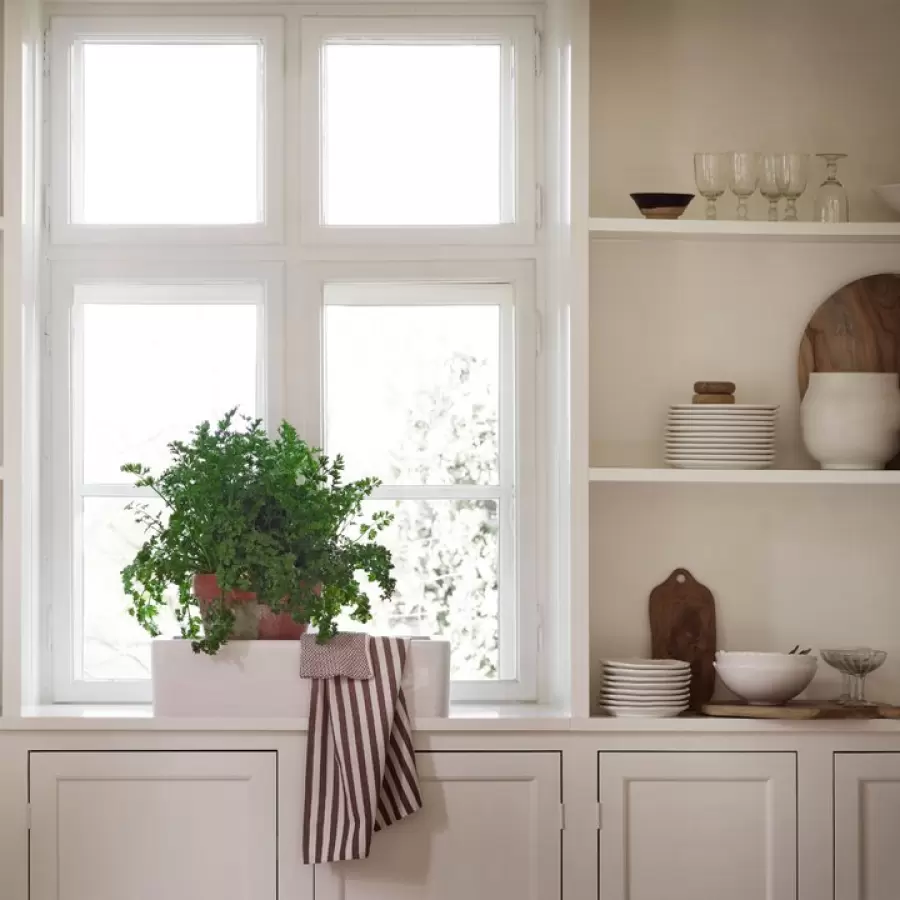 TineK Home -  Glas Coupe, Line Ø:10*11